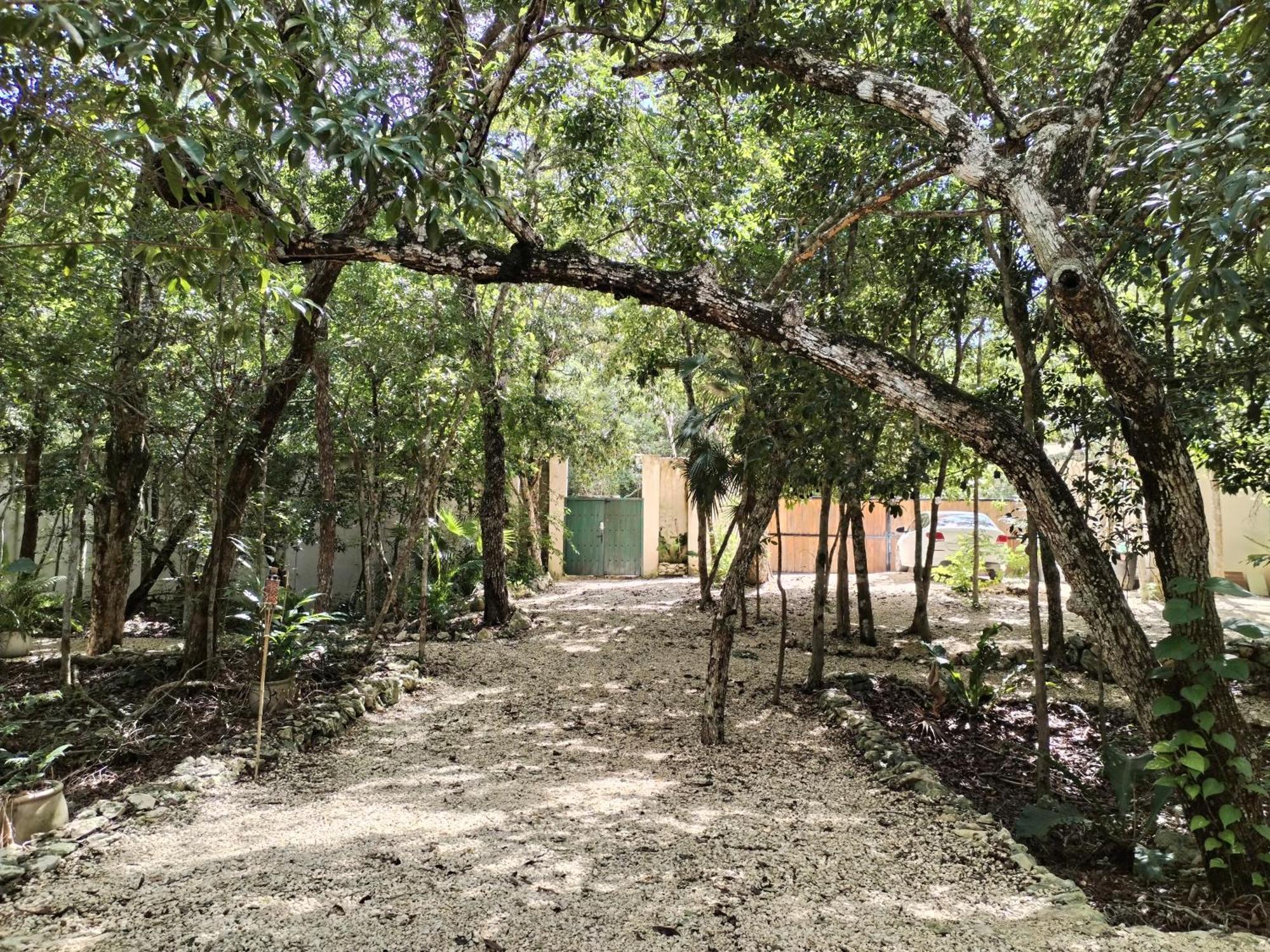 Villa Saasil Kaax à Chemuyil Extérieur photo